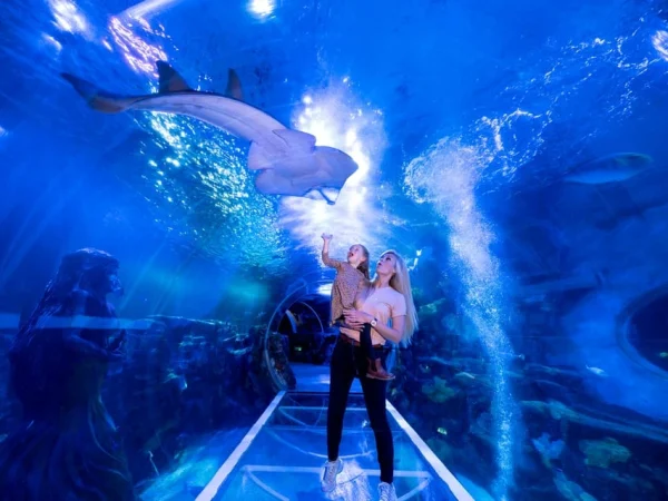 National Sea Life Centre Entrance Ticket